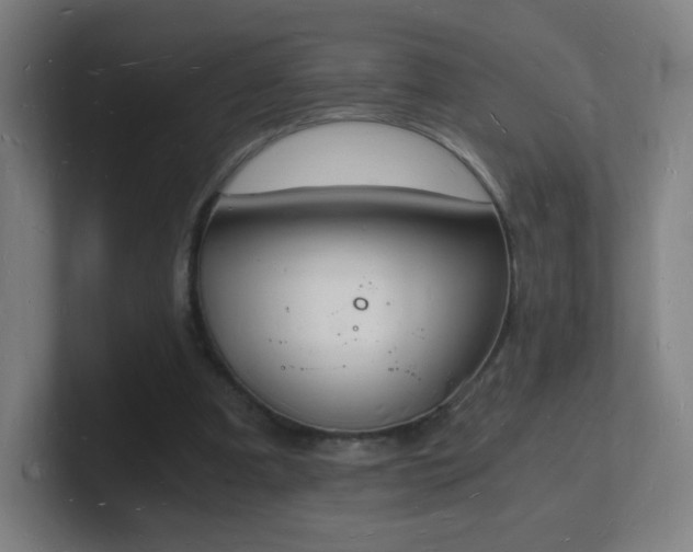 X0000101670297200807171342