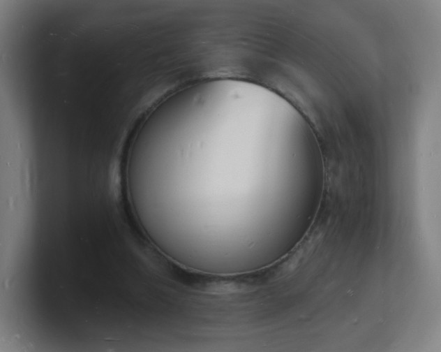 X0000101670298200807171341