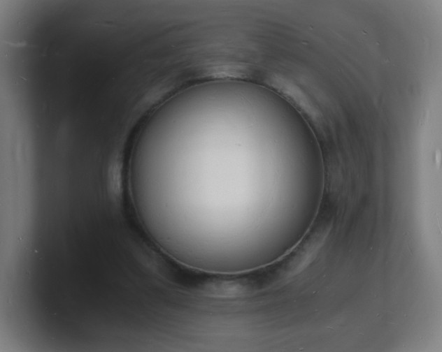 X0000101670299200807171341
