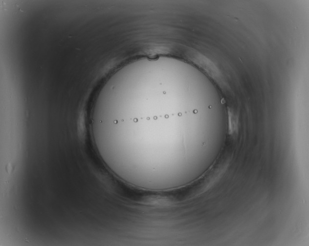 X0000101670300200807171341