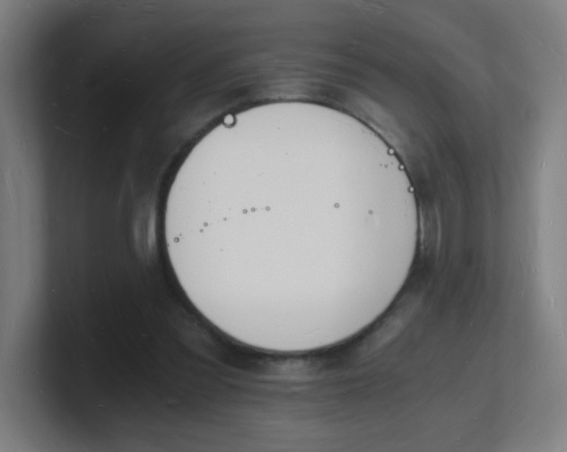 X0000101670301200807171341
