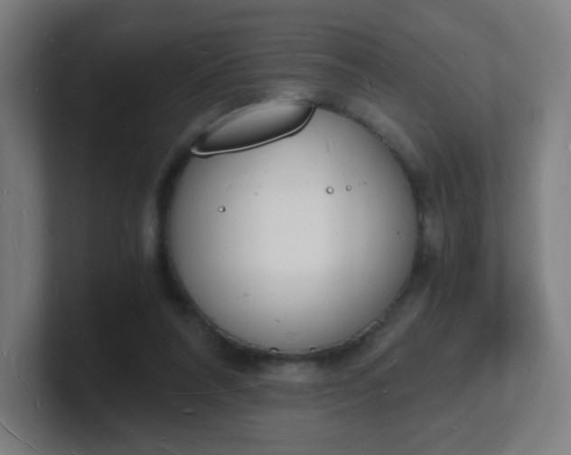X0000101670304200807171341