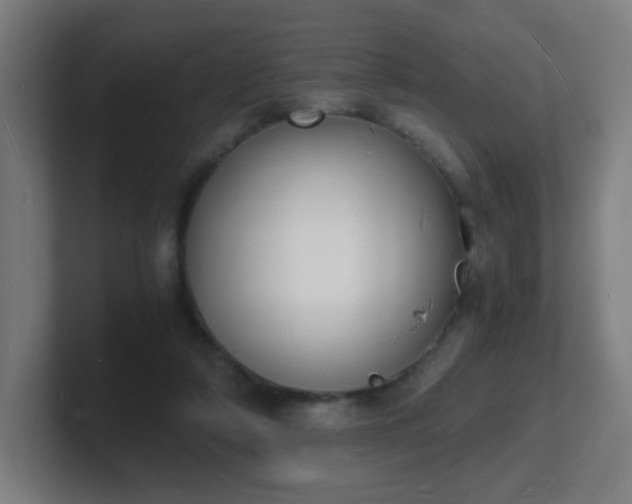 X0000101670306200807171341