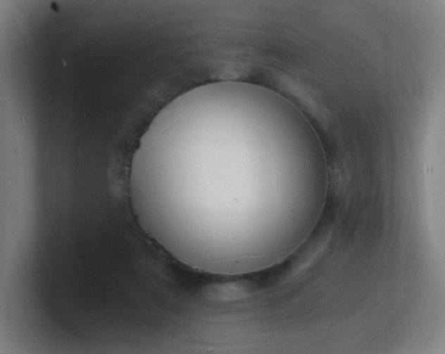 X0000101670307200807171341