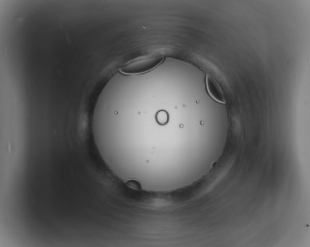 X0000101670308200807171341