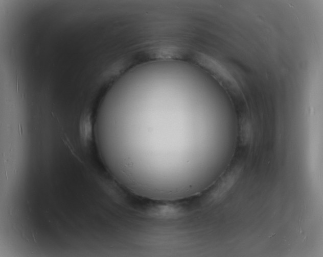 X0000101670310200807171341