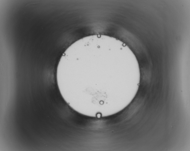 X0000101670313200807171341