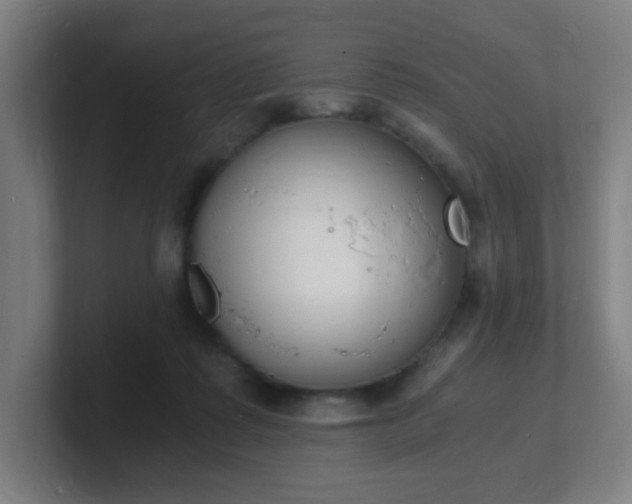X0000101670315200807171341