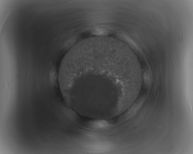 X0000101670322200807171341