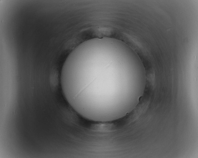 X0000101670323200807171341