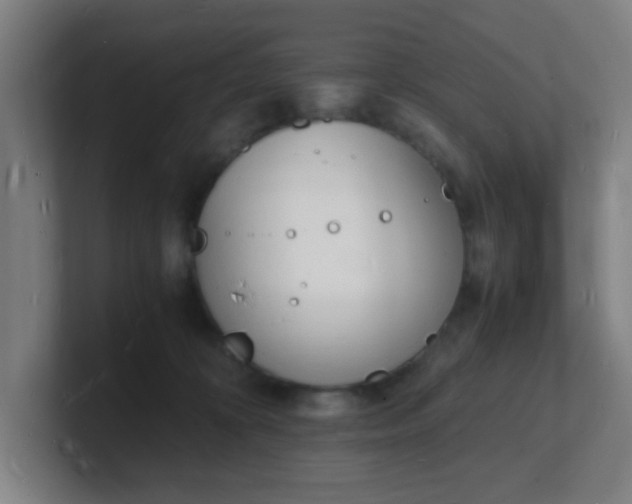 X0000101670324200807171341