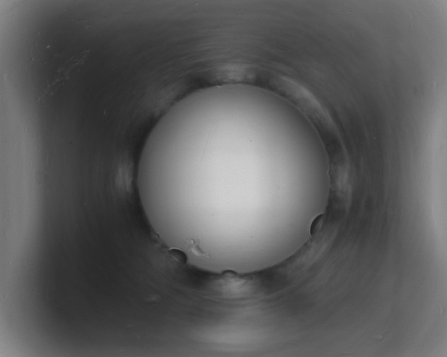 X0000101670326200807171341