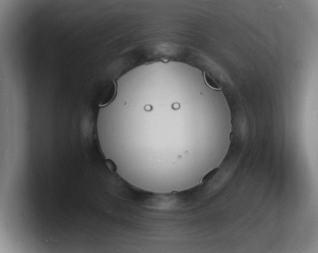 X0000101670328200807171341