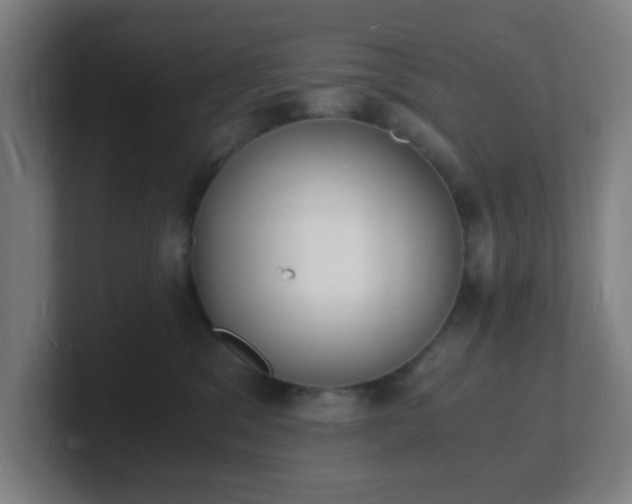 X0000101670329200807171341