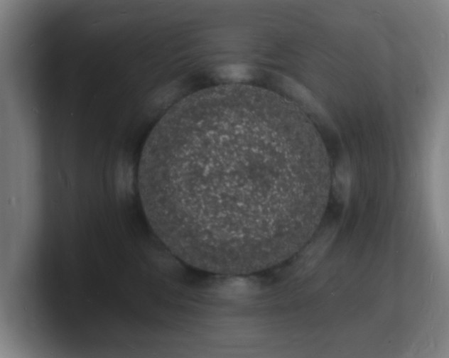 X0000101670330200807171341