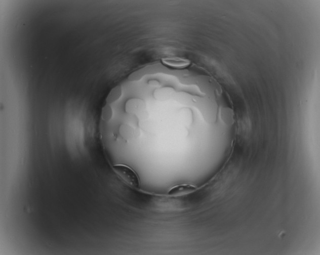 X0000101670331200807171341