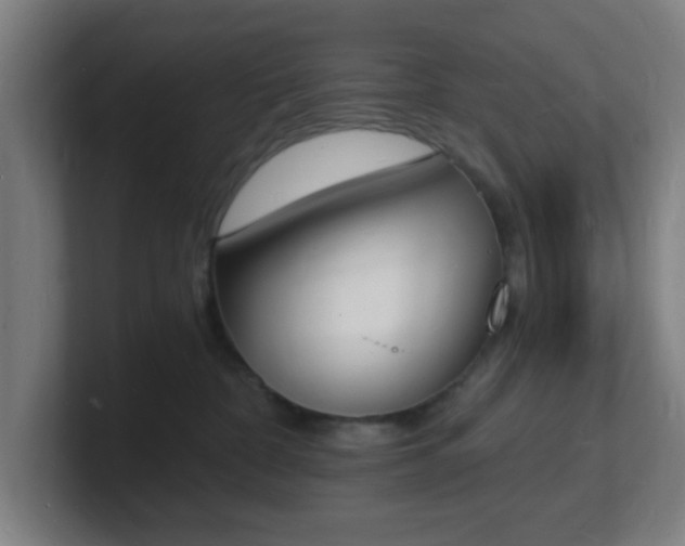 X0000101670332200807171341
