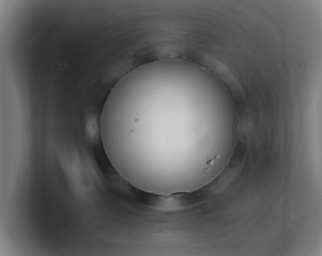 X0000101670335200807171341