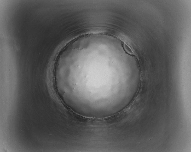 X0000101670337200807171340