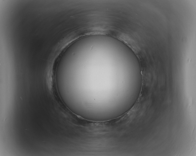 X0000101670338200807171340