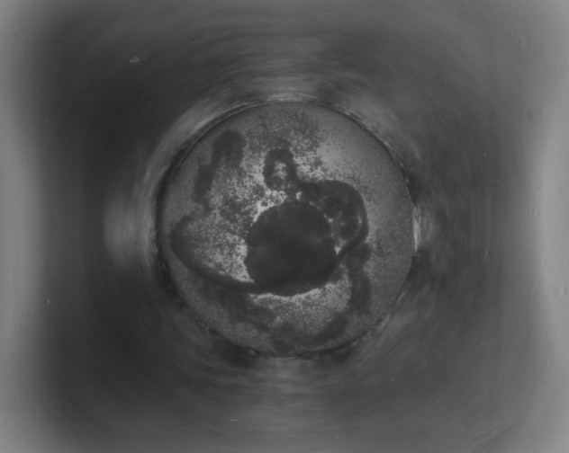 X0000101670339200807171340