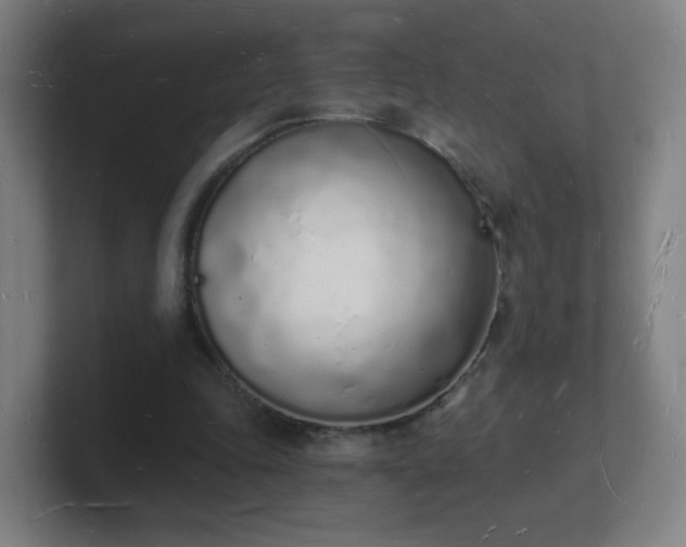 X0000101670343200807171340