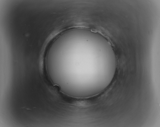 X0000101670344200807171340