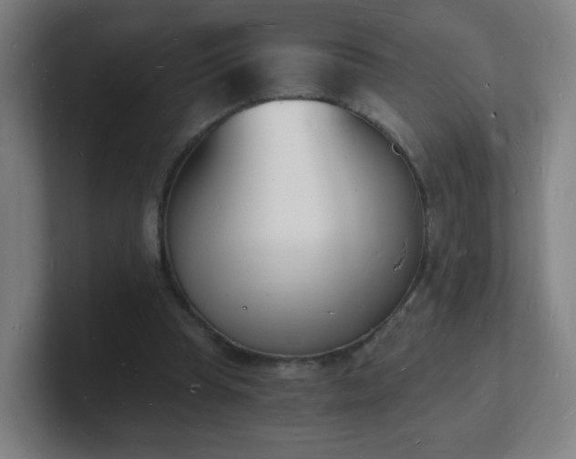 X0000101670345200807171340