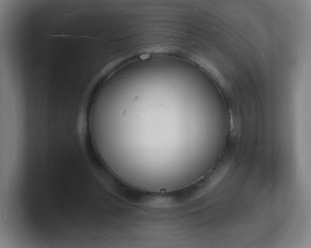 X0000101670348200807171340