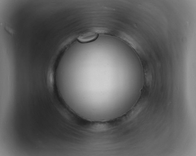 X0000101670350200807171340