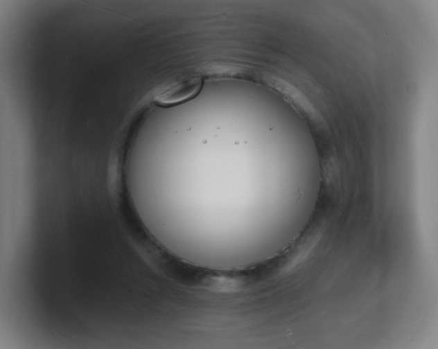 X0000101670352200807171341