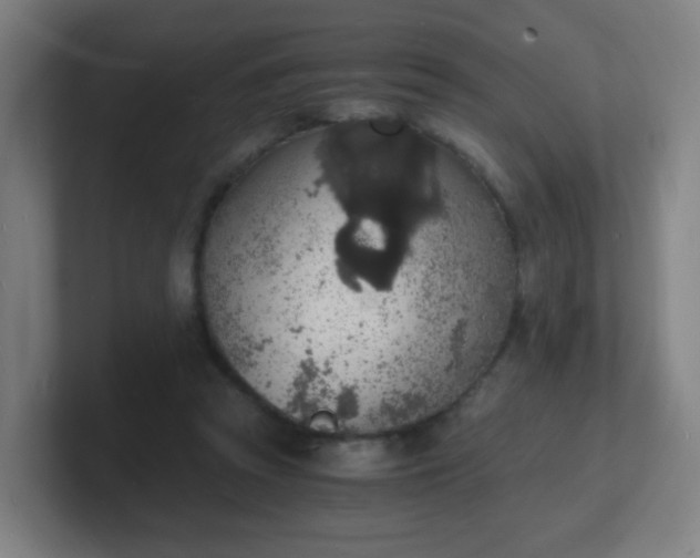 X0000101670353200807171341