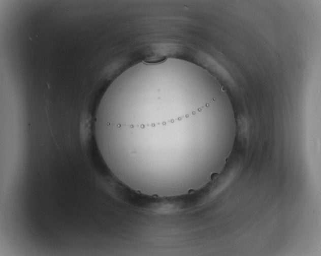 X0000101670356200807171341