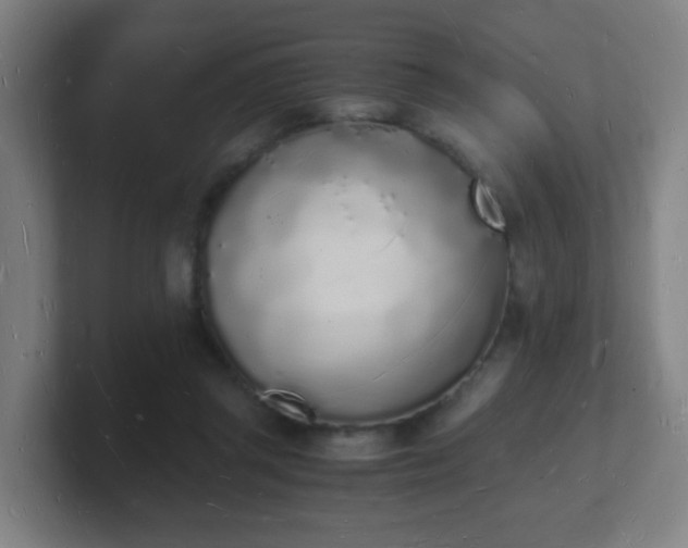 X0000101670357200807171341
