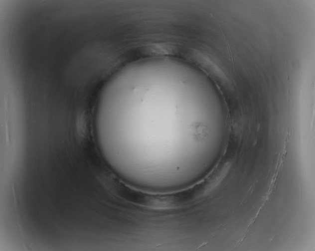 X0000101670359200807171341