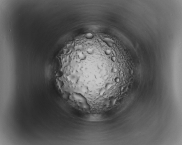 X0000101670361200807171341