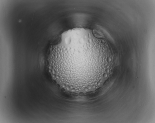 X0000101670363200807171341