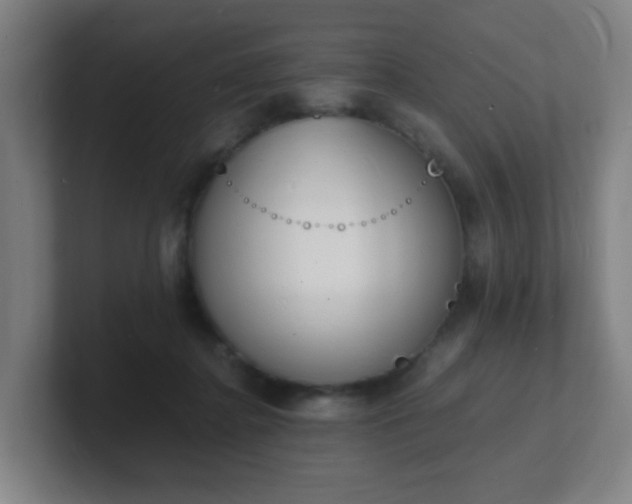 X0000101670364200807171341
