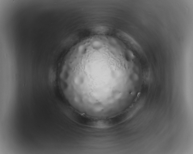 X0000101670365200807171341