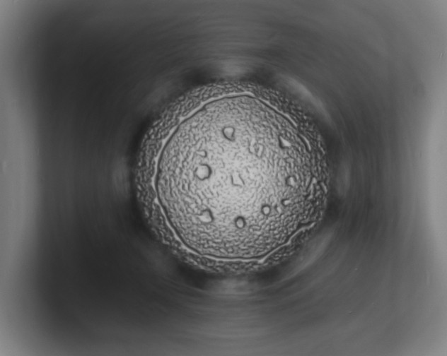 X0000101670366200807171341