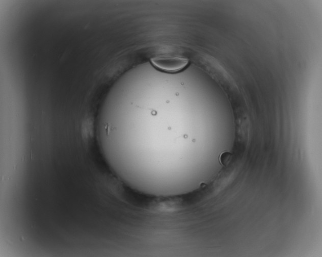 X0000101670368200807171341