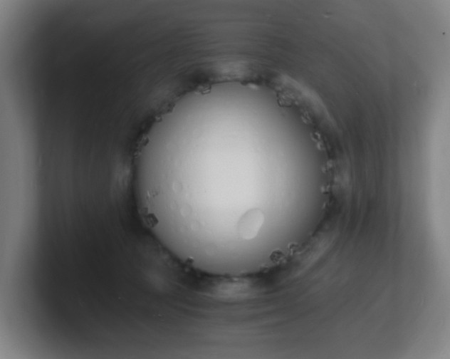 X0000101670369200807171341