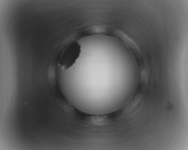 X0000101670373200807171341