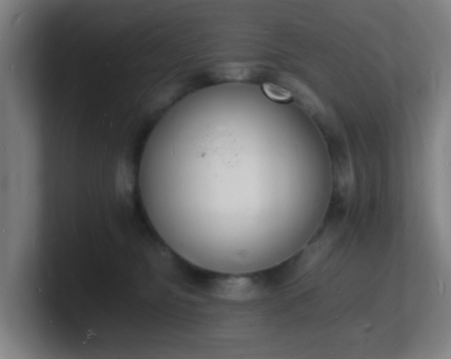 X0000101670374200807171341