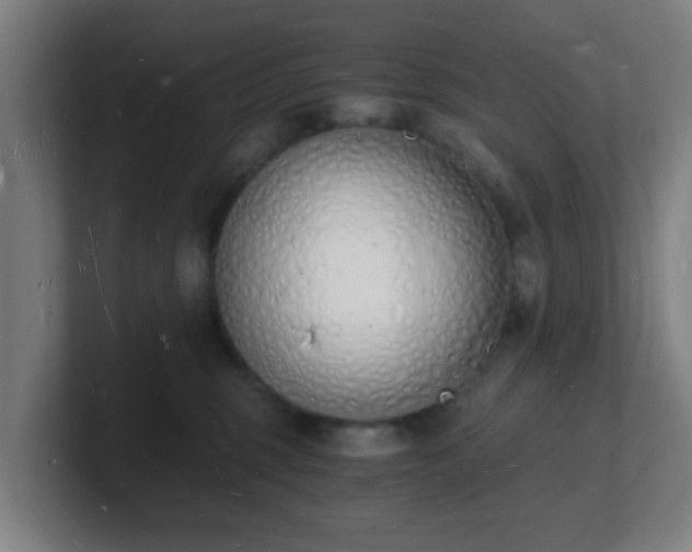 X0000101670375200807171341