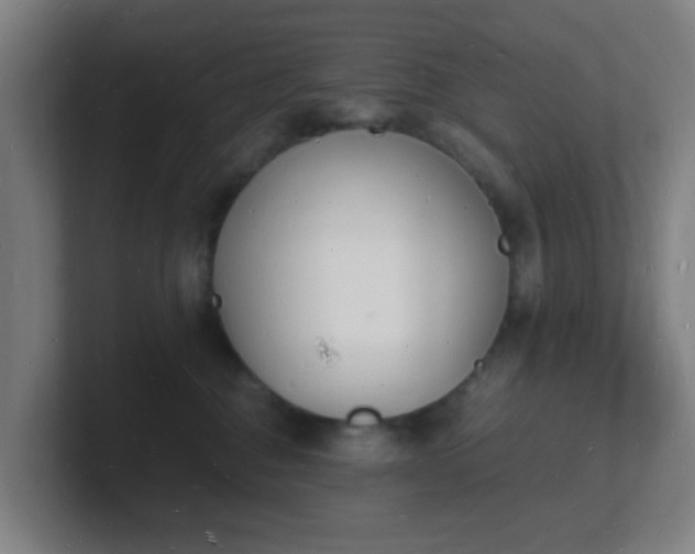 X0000101670376200807171341