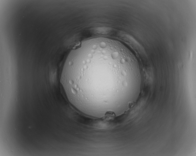 X0000101670377200807171341