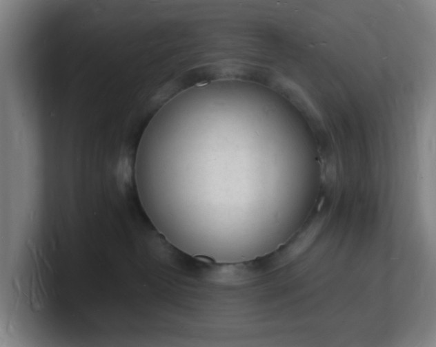 X0000101670382200807171341