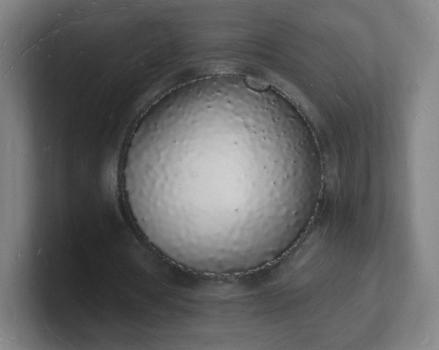 X0000101670386200807171340