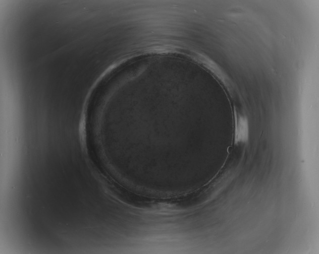 X0000101670387200807171340